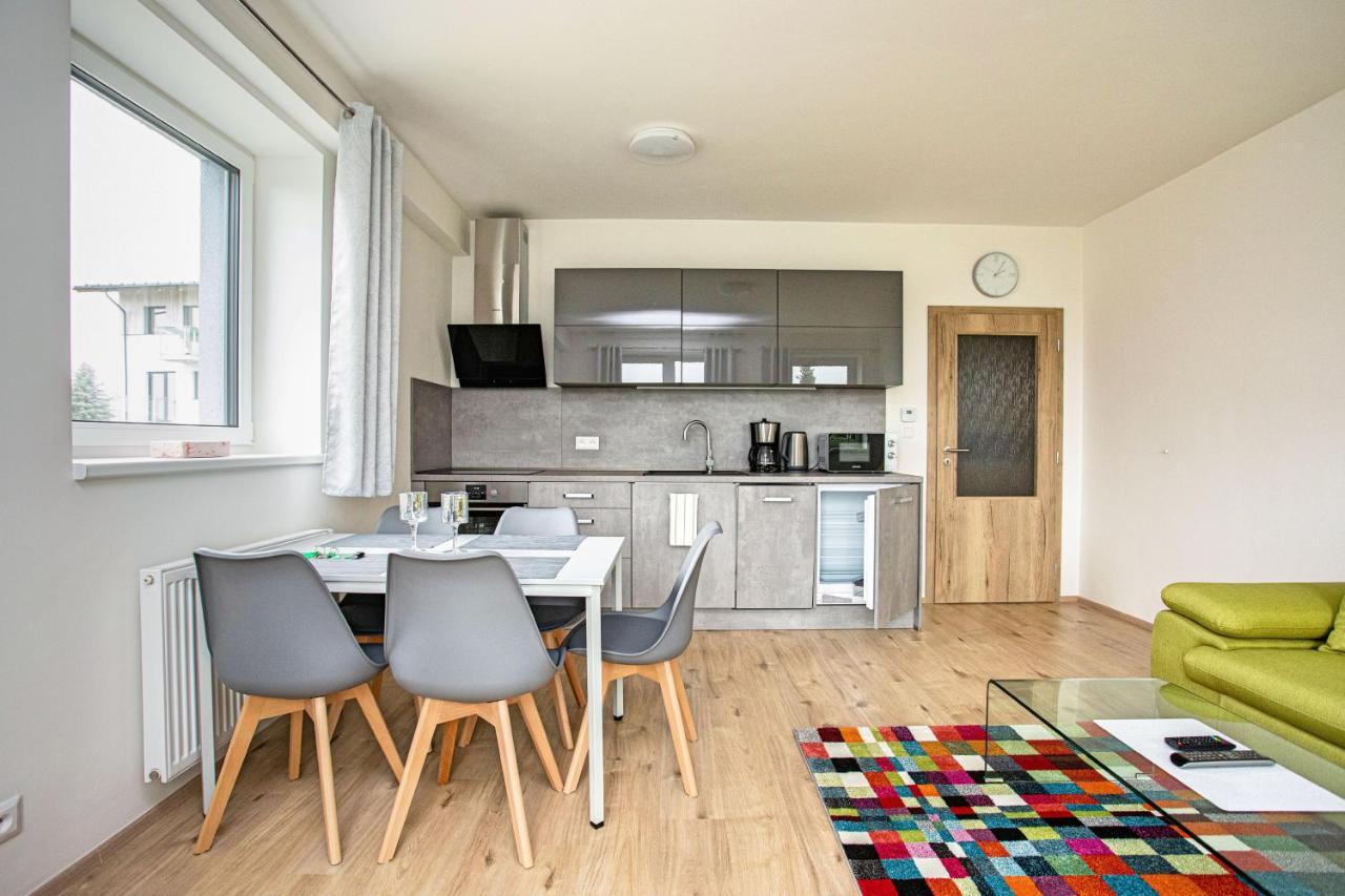 Green Apartment Klinovec By Mountain Ways โลชนา โปด กลิโนฟเซม ภายนอก รูปภาพ
