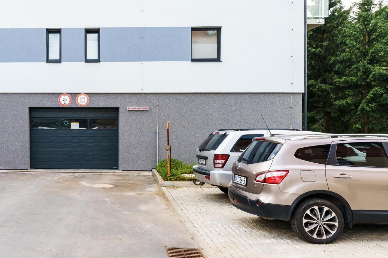 Green Apartment Klinovec By Mountain Ways โลชนา โปด กลิโนฟเซม ภายนอก รูปภาพ